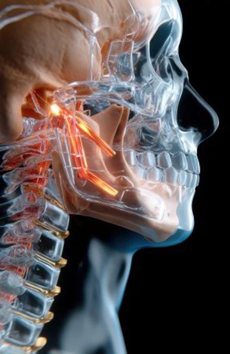 Illustration of human head anatomy with TMJ highlighted in red