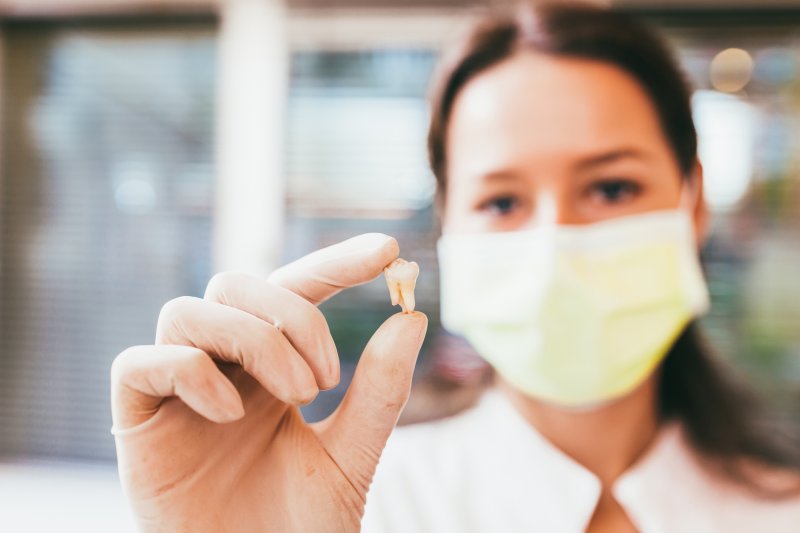 a dentist holding a tooth after extraction in Greensboro