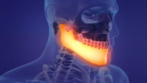 Illustration of human skull with jawbone highlighted